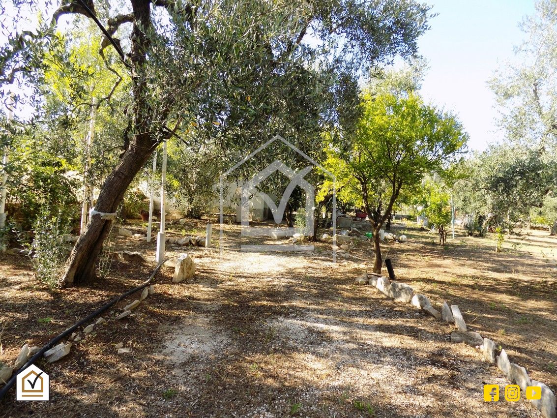 Nuove costruzioni triggiano